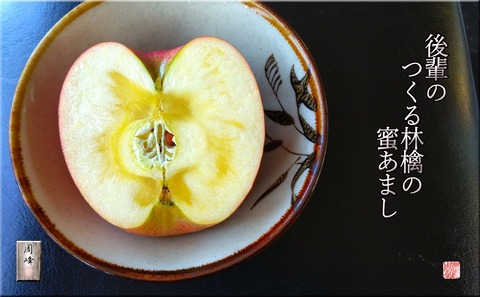 sanhujihaiku