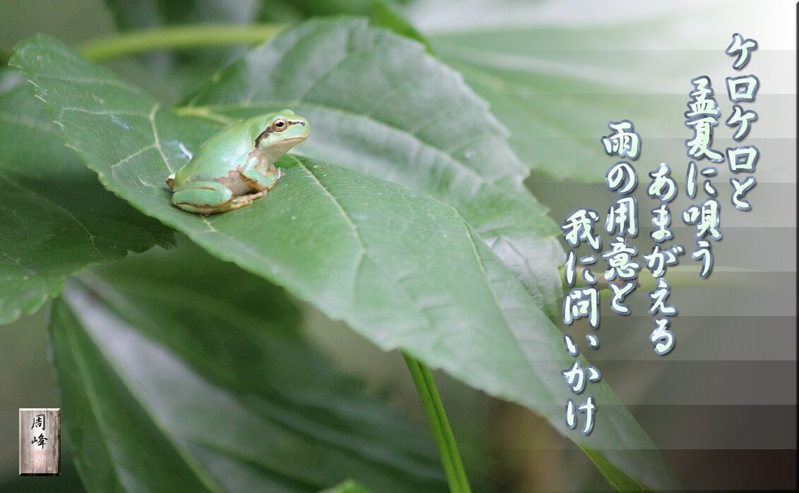 イメージ 1