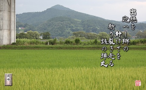 tetunodangan