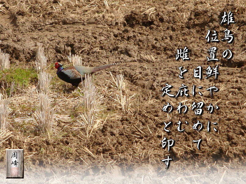 イメージ 1