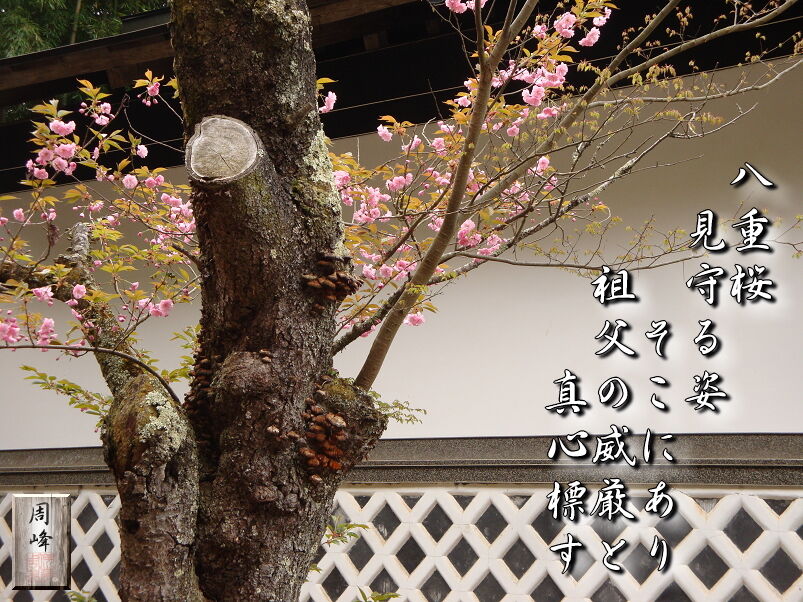 イメージ 3