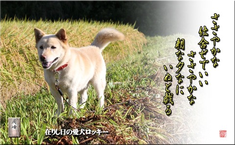 arishihino
