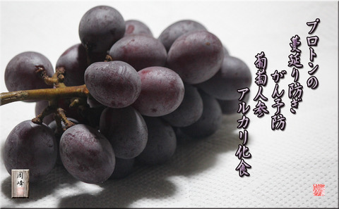 arukarikashyoku