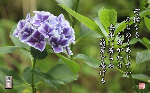 ajisaimonogatari