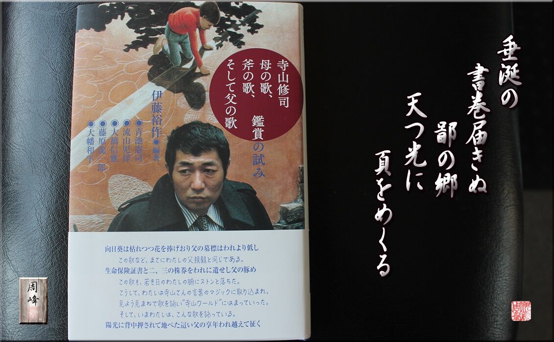 寺山修司短歌有名, 寺山修司 海を知らぬ少女の前に – THVXV