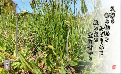 warabinosato