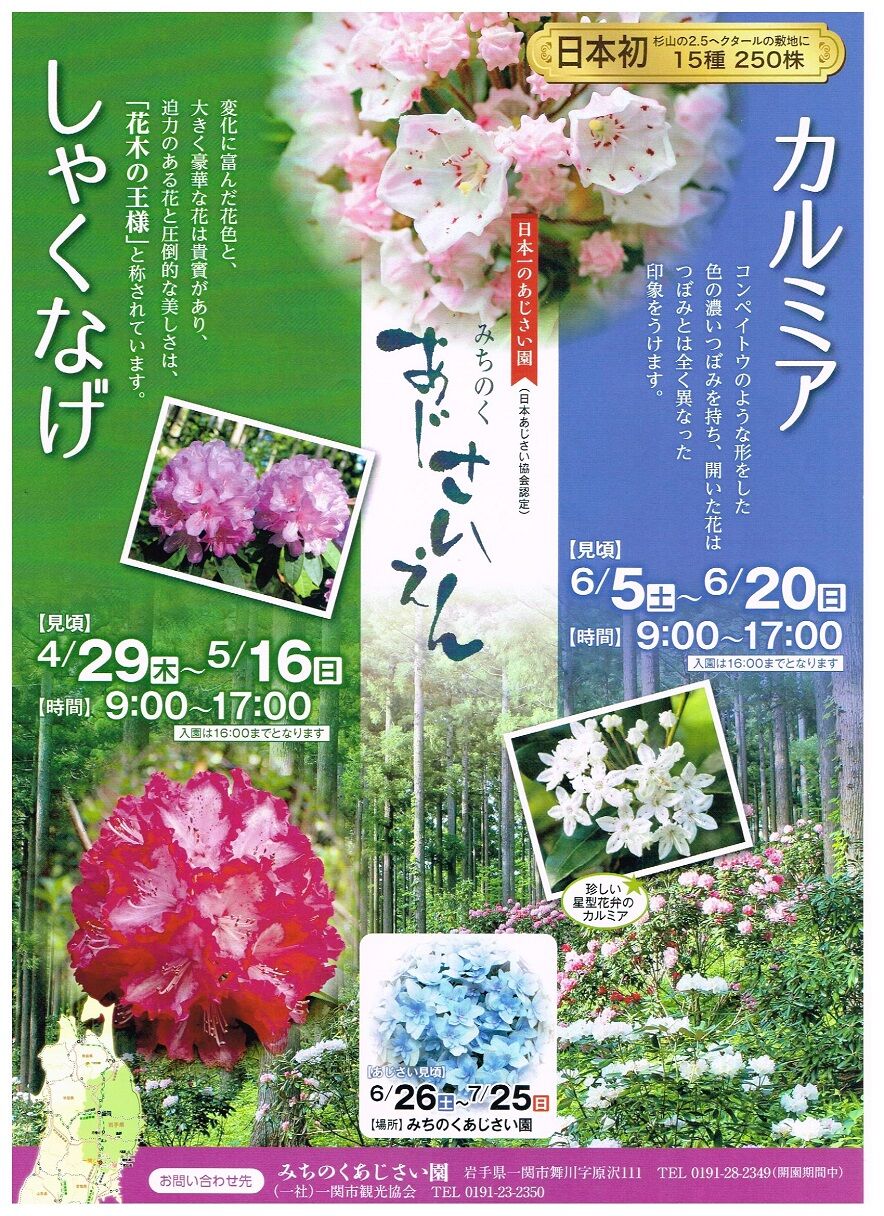 花ライン 中尊寺 毛越寺 みちのくあじさい園 フォト短歌游々日記