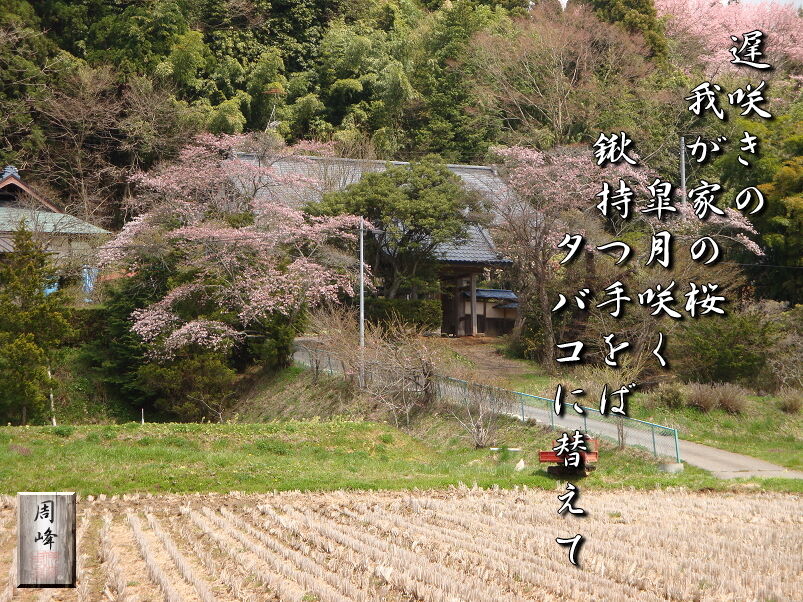 イメージ 1