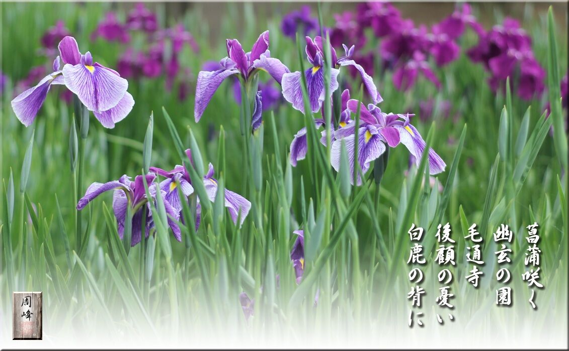 イメージ 1