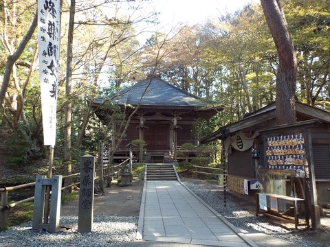 DSCF6506