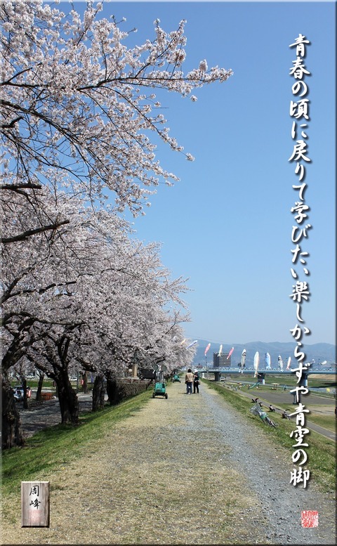 aozora