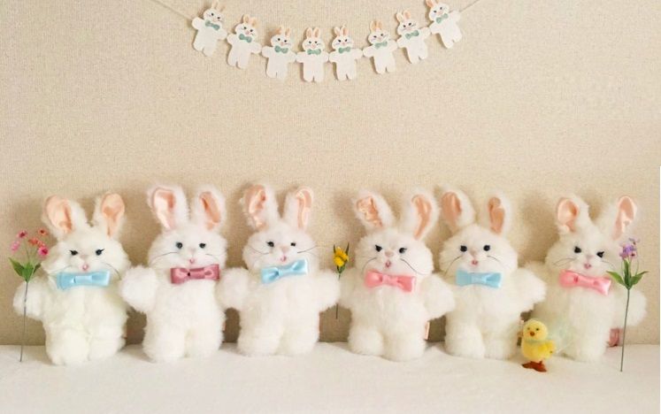 Phraula* Information Blog