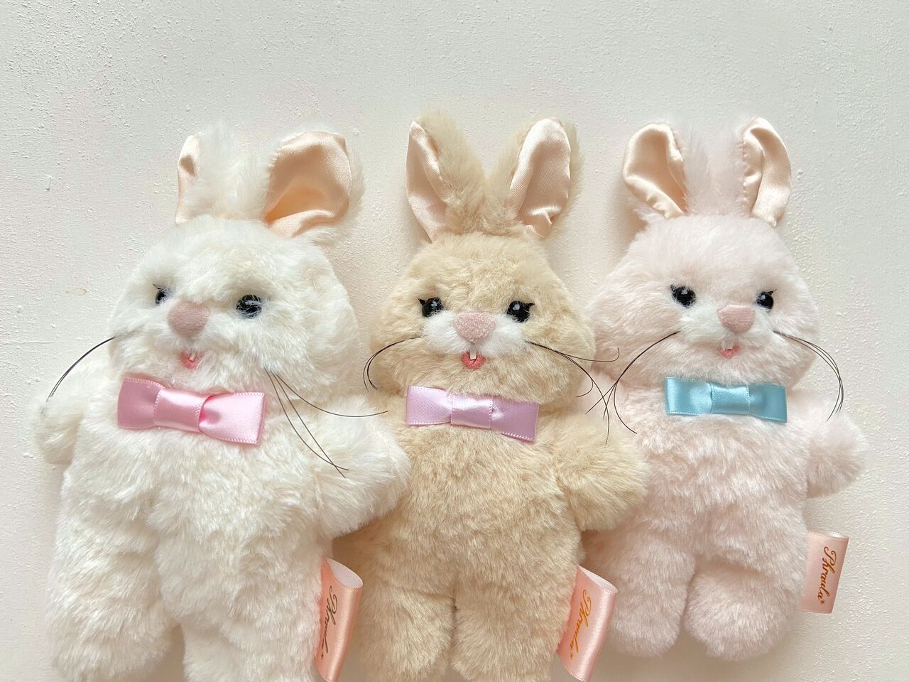 ONLINE SHOP］2025.6月 抽選受付のご案内 うさきちぬいぐるみ