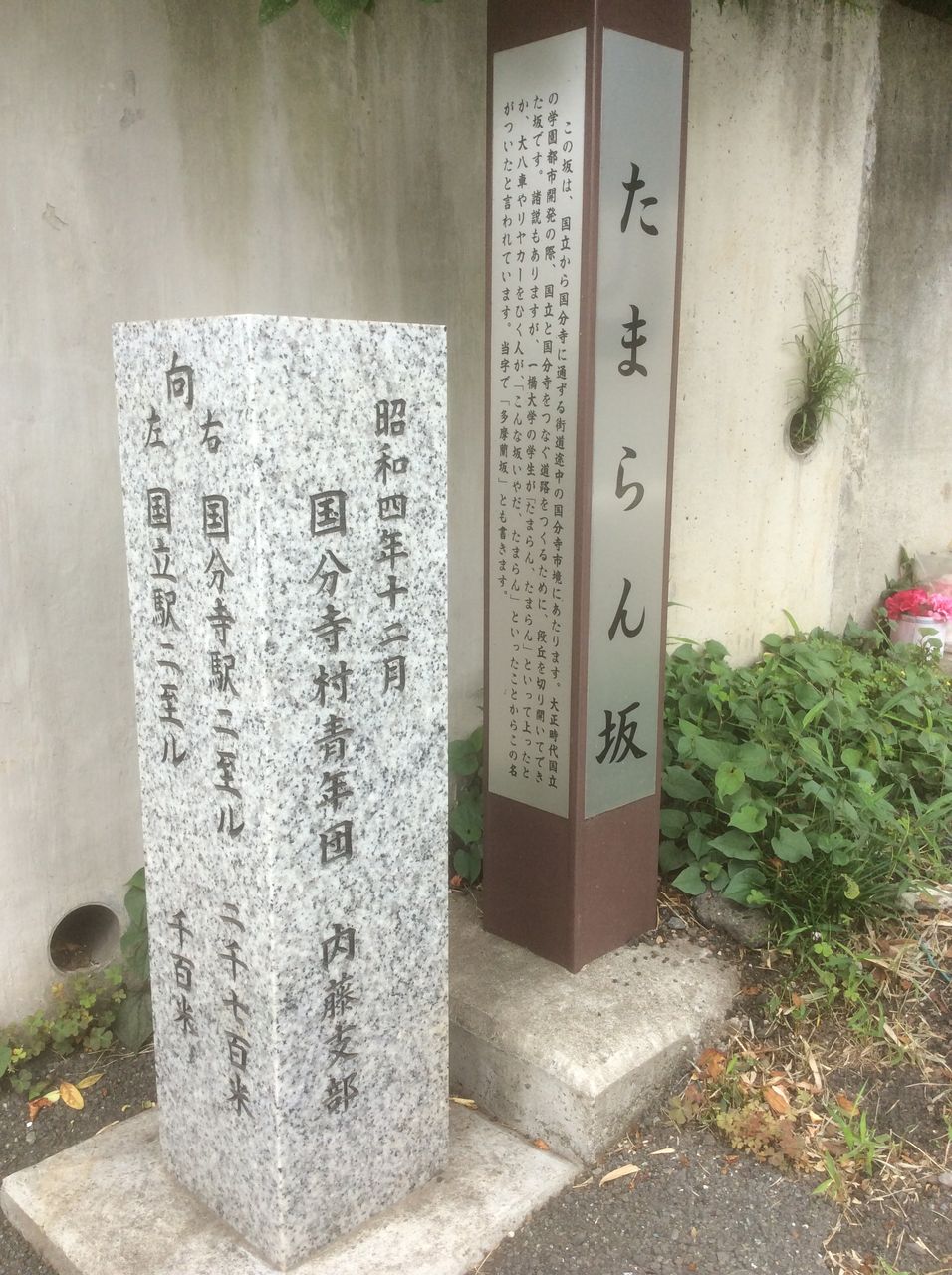 多摩蘭坂 Phrepのblog