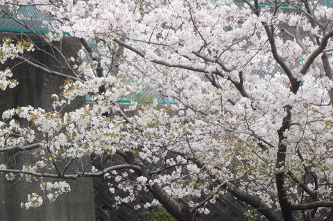 DSC01741