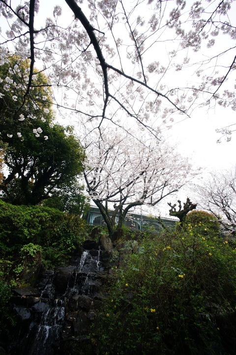 DSC04676