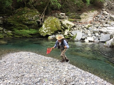 62158761_3384646741561479_3086553546913480704_n