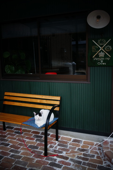 DSC07653