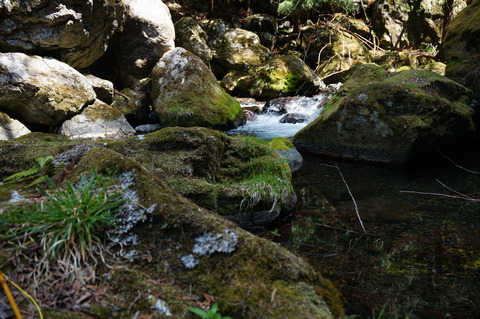 DSC01040