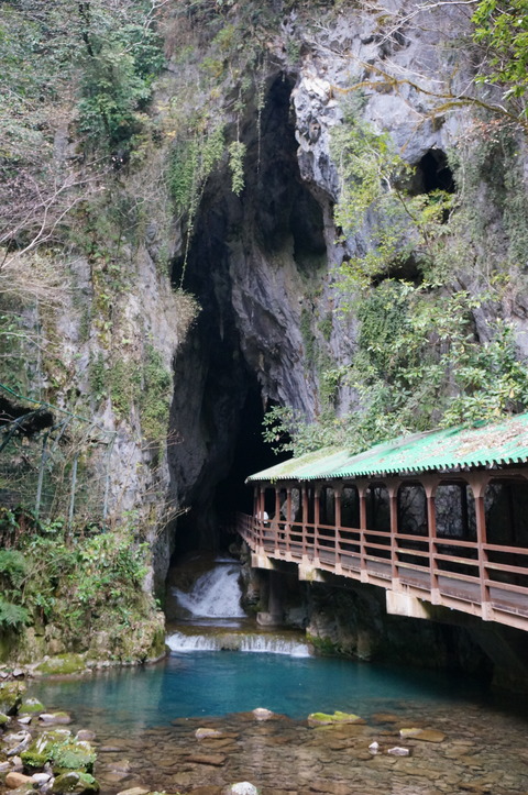 DSC04553