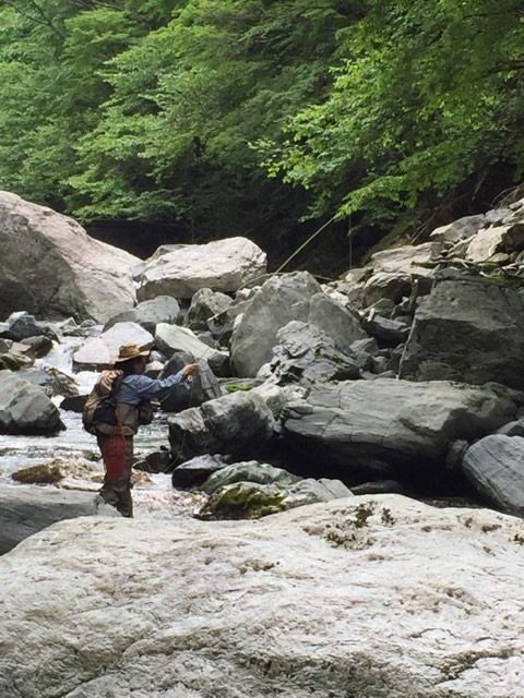 62036677_2302256716761214_3830856802191278080_n