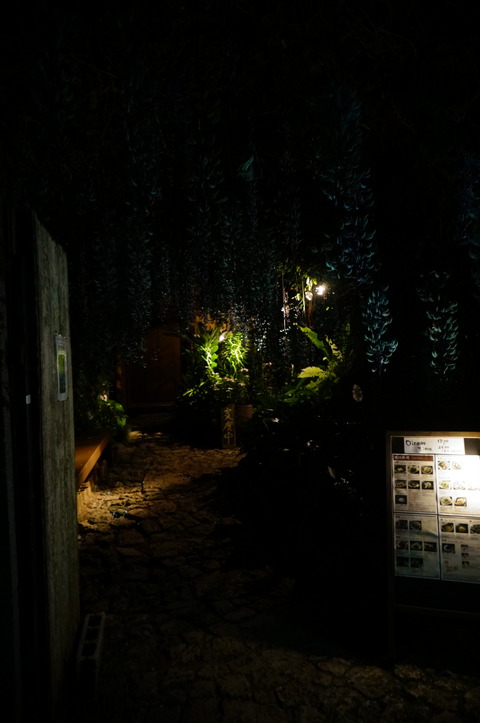 DSC00118