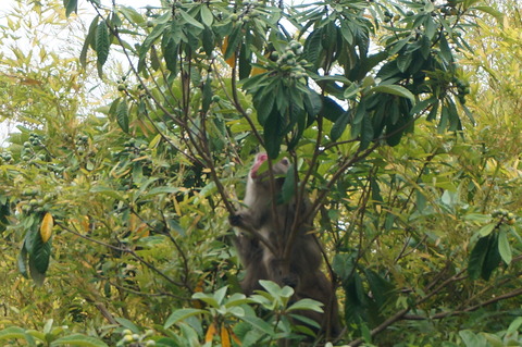 DSC01769