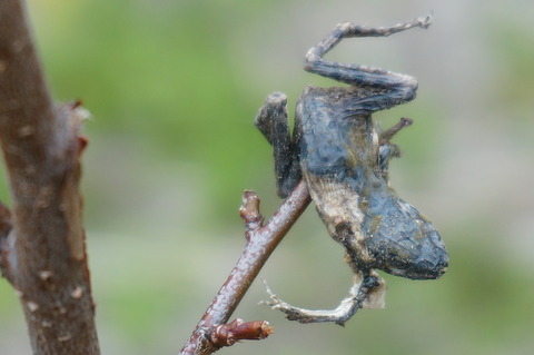 DSC01715