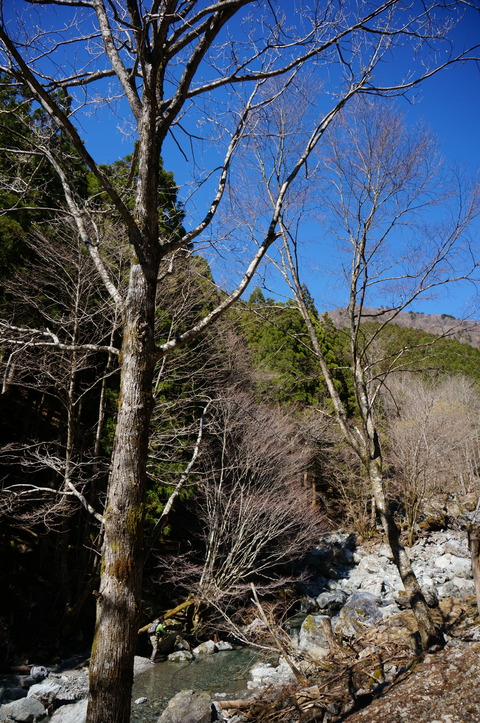 DSC04879