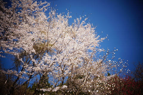 DSC00159