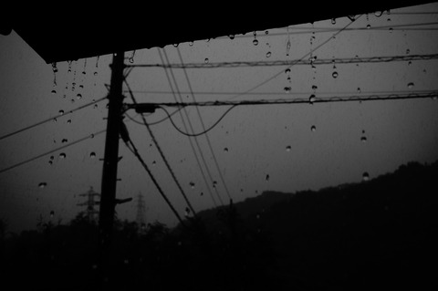 DSC00886