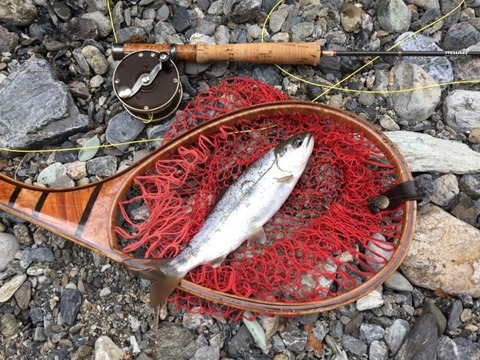 62061925_2395327477421184_7866984909095567360_n