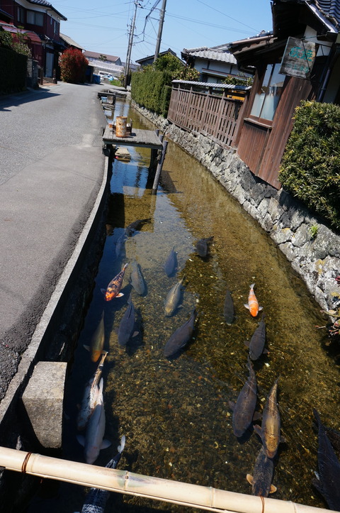 DSC04539