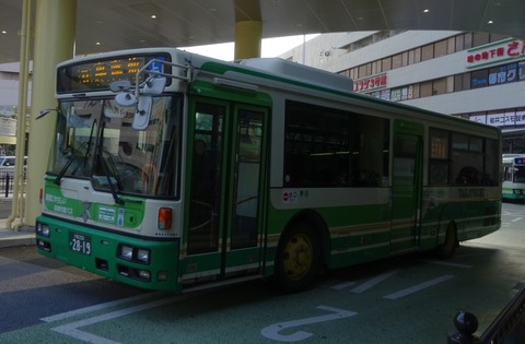 2b1d9708-s.jpg