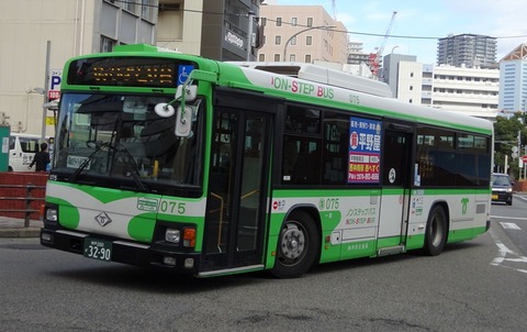 72dde391-s.jpg
