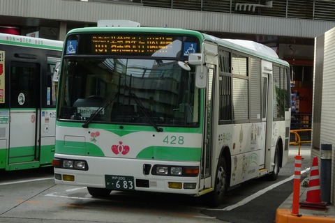 8b19c218-s.jpg