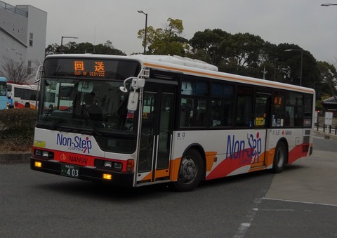 df341e4e-s.jpg