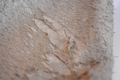 イサムカタヤマバックラッシュ　1774-02　カンガルーニベシングルライダース