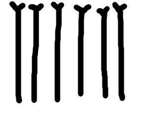 wool2