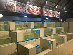kolaan_bangsaen-190315-341