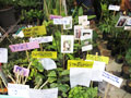 show2012-091