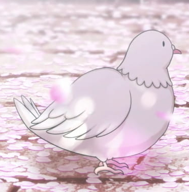 ピーちゃんの鳥籠