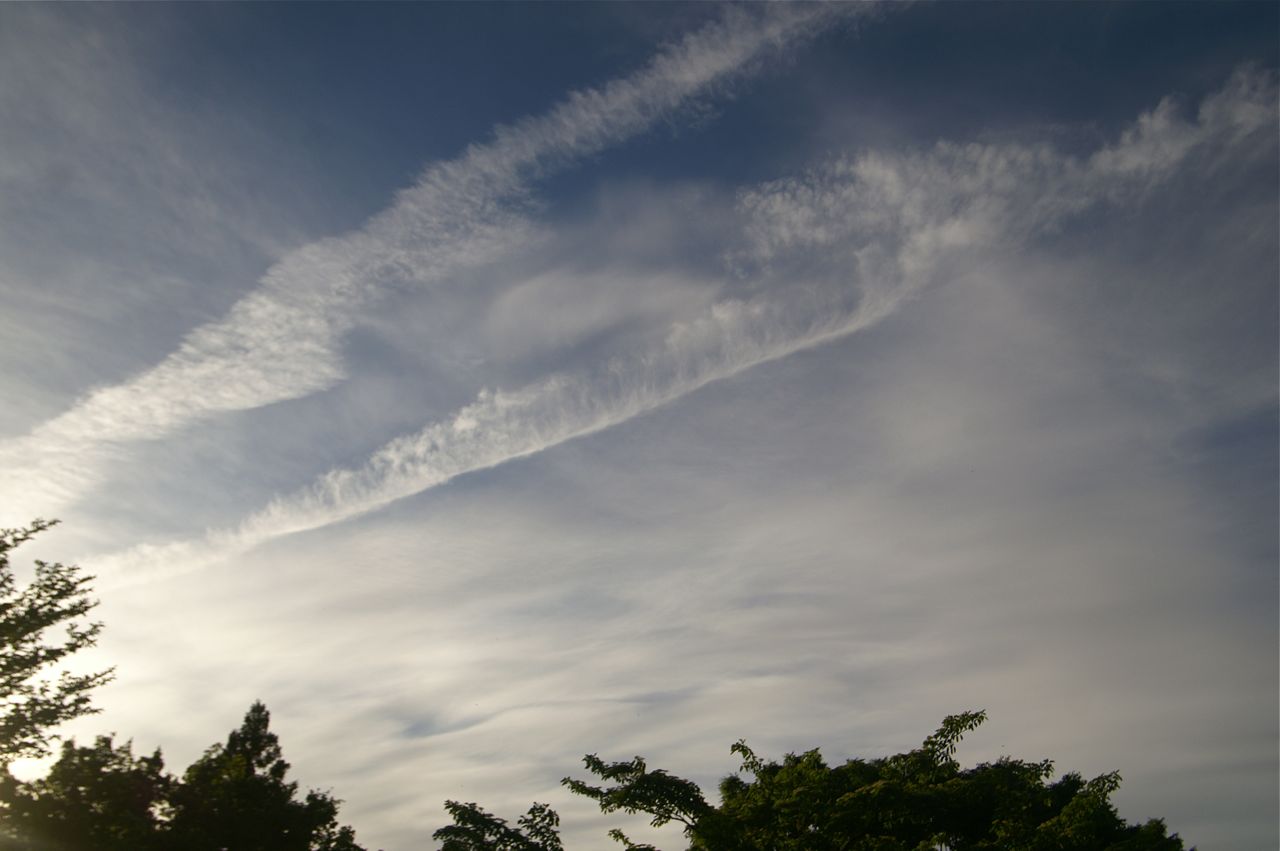 箱根旅行 龍神族 と 牛神族 の戦い Piabuの不可思議blog