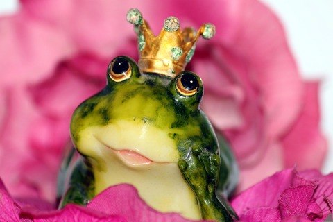 frog-prince-1370022_960_720