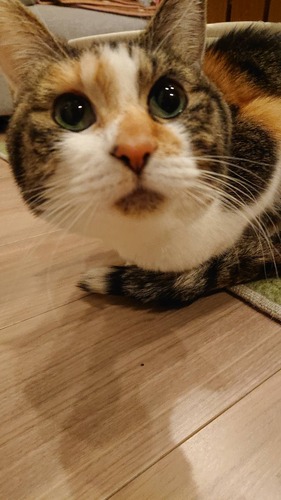 849AF56C-5A37-4890-844E-013DF621223B