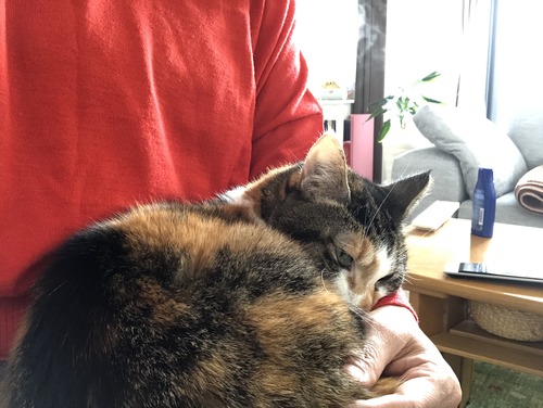 75918F18-25B3-4011-8EF1-BF4125F2D837