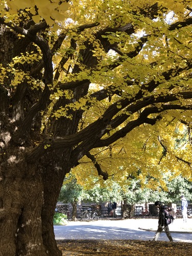 B9458BA1-065A-4278-891D-BC77908257C9