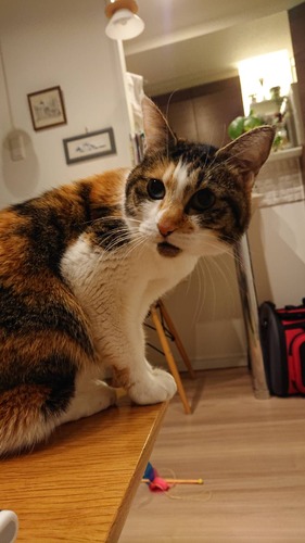 97AE4CEE-01FA-493F-AE2B-28DFF9B8580F