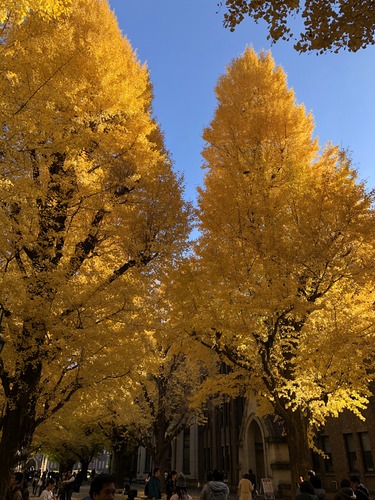 2F4F29BE-6B6C-4864-9CB0-917F2CE02DD2