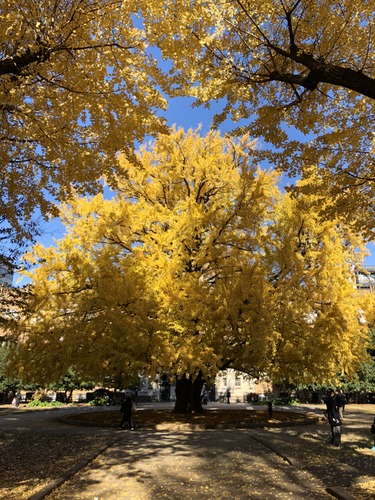 9A7E8AC3-3008-43D2-A720-BC900A097591